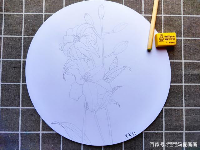 百合花的简单彩铅画法