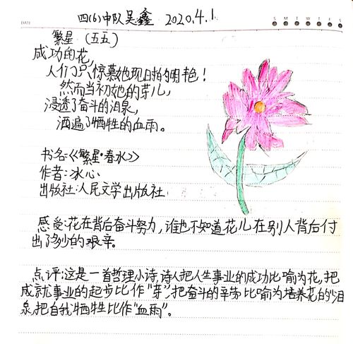 吴鑫网课期间现代诗摘抄与仿写