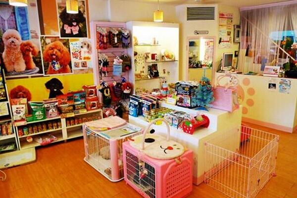 宠物店