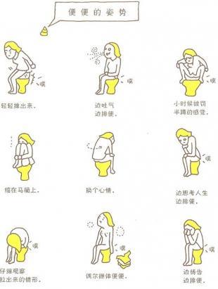 迈向优质便便的完美生活