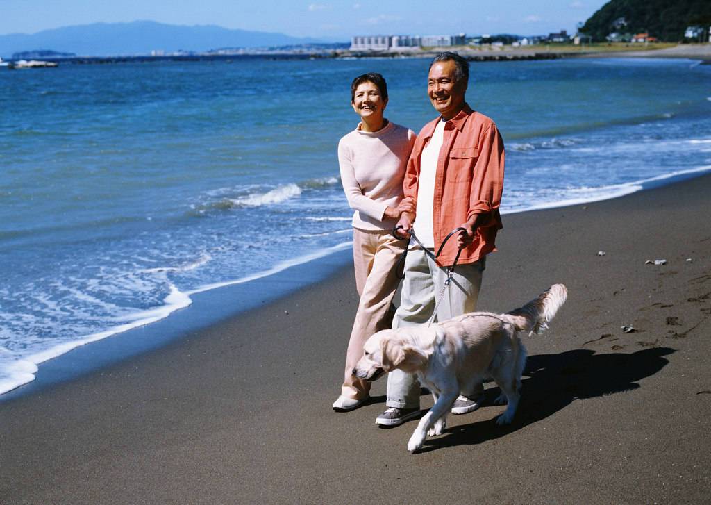 候鸟老人在海南的养老度假生活