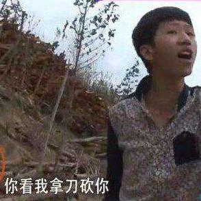 你看我拿刀砍你 - 一波新版王境泽表情,真香_王境泽表情