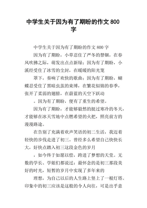 中学生关于因为有了期盼的作文800字