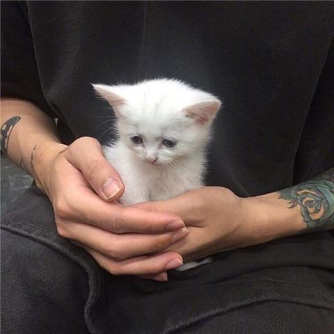 480x480图片快手头像男生霸气超拽 超帅气男生快手个性头像