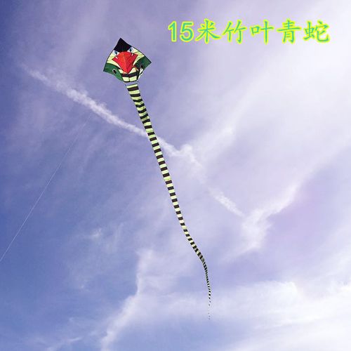 沈阳潍坊风筝10米/15米/20米/30米大蛇风筝 大眼镜