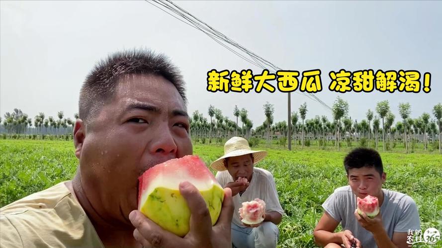 我的农村365的个人主页 - 西瓜视频