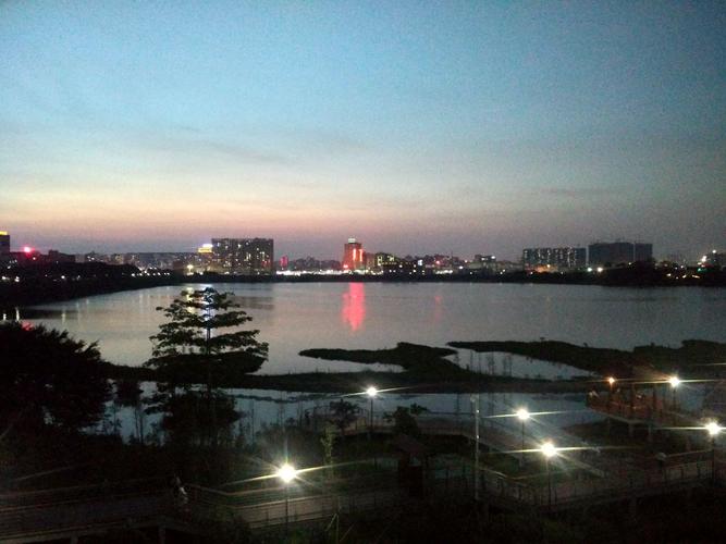 福永立新湖公园夜景