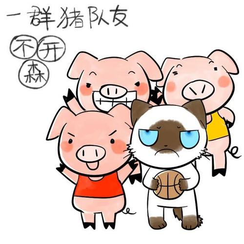 一群猪队友 不开森