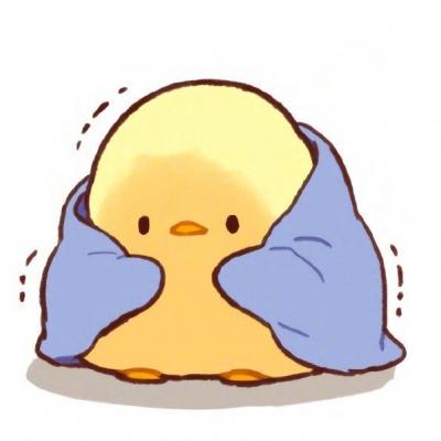 小鸡微信头像