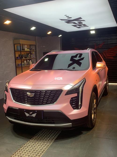xt4改色膜-洗浴王大变色_洗浴_4s店_樱花_车身改色膜
