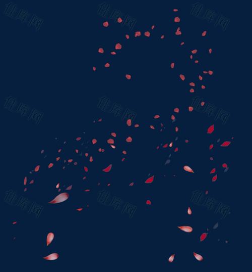 花瓣 玫瑰 花瓣 图片素材 花瓣飞舞