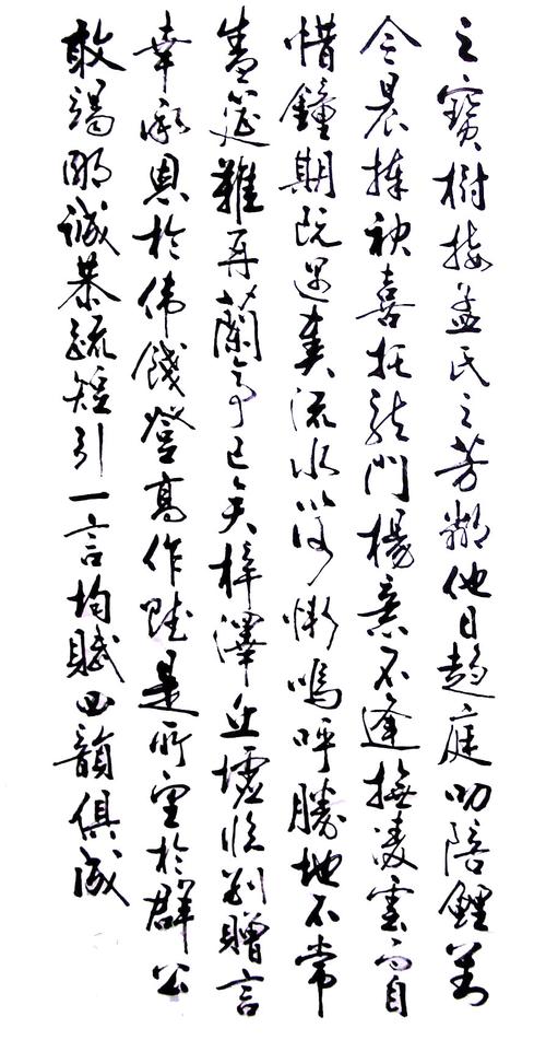 文征明《滕王阁序》行书临习与习作