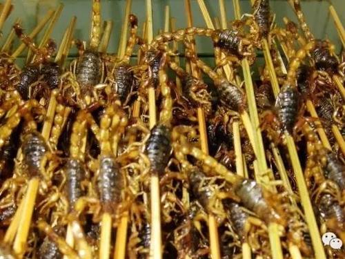 云南八大虫子菜看完直接性冷淡