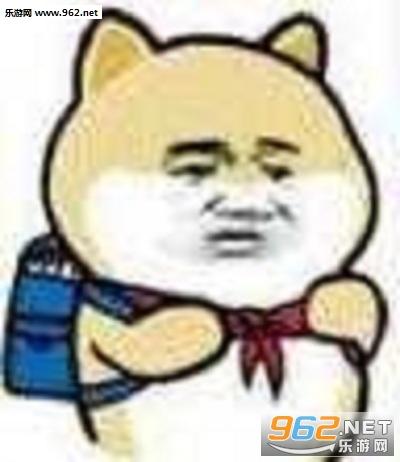 一只狗背书包表情包