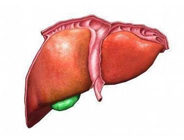 肝脾肿大的症状