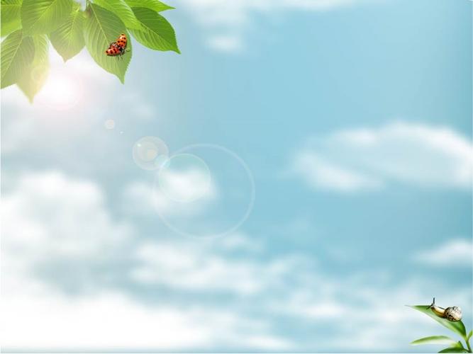 ppt模板春天ppt模板:蓝天绿叶下的蜗牛 .ppt_第3页