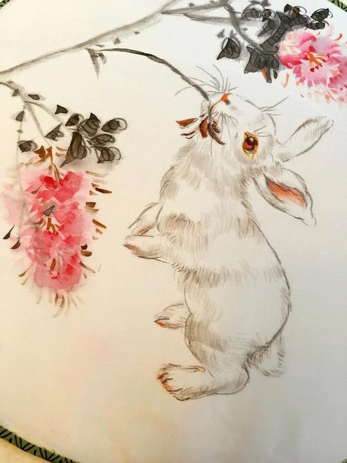 写意国画扇子《兔子一》