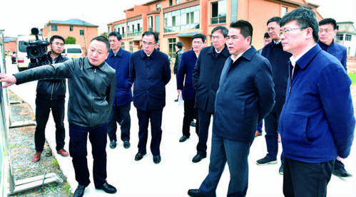 项雪龙专题调研我县改善农民群众住房条件及农村人居环境整治工作