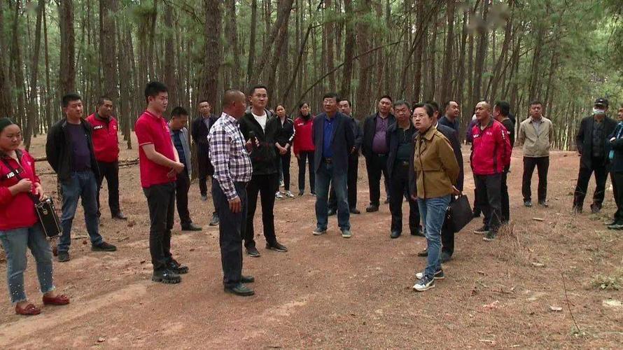 鹤庆县委书记段红丽县长张洪军带队到鹤庆乾酒有限公司调研