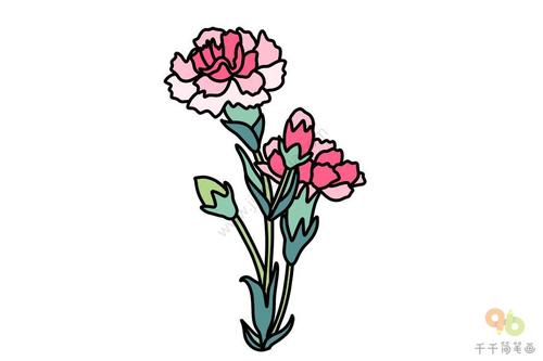 亲子画康乃馨简笔画