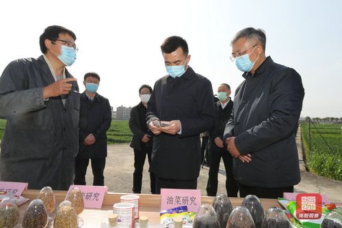 刘超调研春季农业生产工作