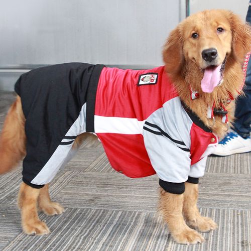 宠物金毛大狗狗衣服冬季中型犬大型犬拉布拉多四脚秋装萨摩耶冬装