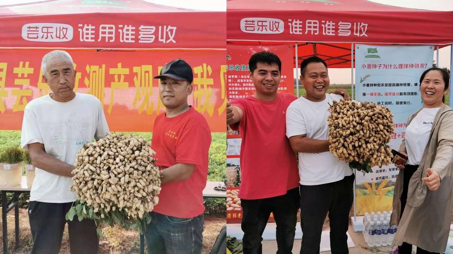 芸乐收—为祖国70华诞献礼!