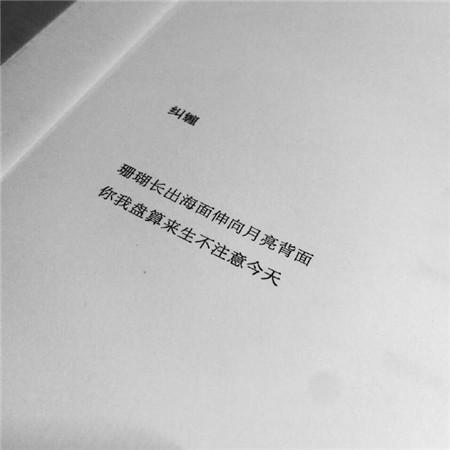 网红文字背景图