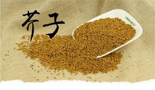 芥子 芥菜子青菜子黄芥子白芥子 500克g一件包邮