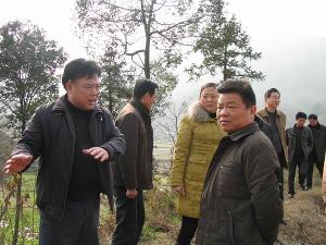横江村位于安化县最东部,与黄皮村,白泥村,黄镇村等相邻,位于安化与
