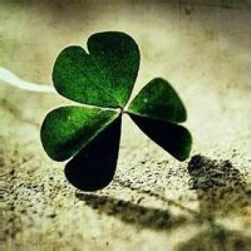 四叶草图片头像风景微信头像风景四叶草