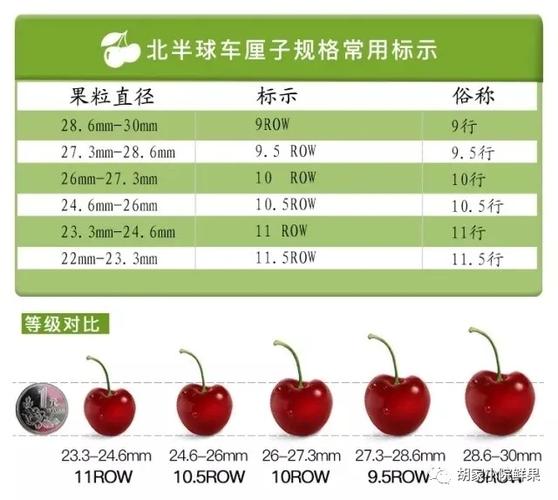 车厘子规格标示介绍