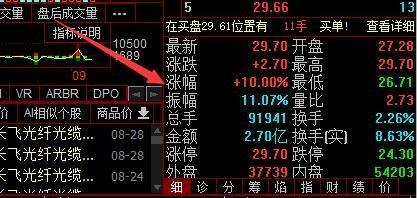 会出现股票数据的统计,包括:涨幅,振幅,换手,最高价,最低价等等