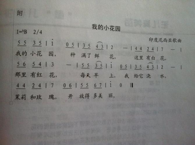 歌曲:我的小花园