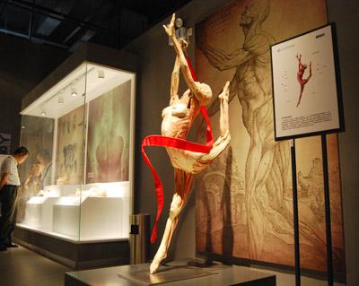 去周庄旅游,当然要看周庄生命奥秘博物馆人体世界