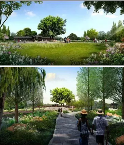 三垟湿地迎来规划新修编!温州的城市绿肾将这样建设