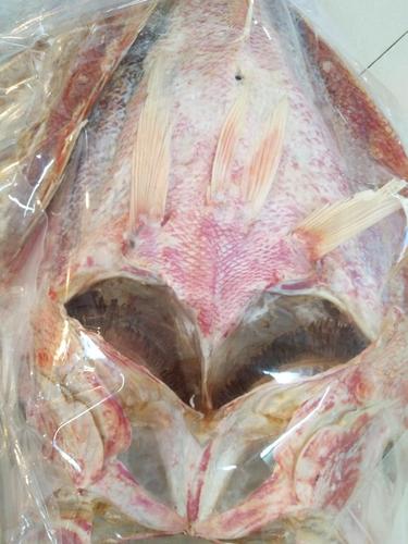 北海海鲜包邮少咸深海大红鱼500g肉质细腻送礼鱼干