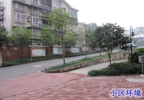 重庆市江北区大石坝下六村242号(天赐龙都)26-2号房屋