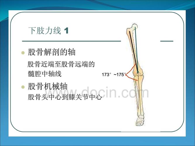 下肢力线95067.ppt