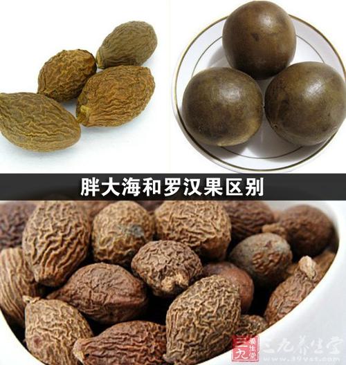 胖大海和罗汉果区别