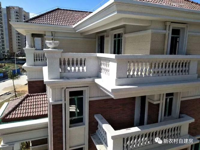 户型二欧式风格的农村别墅,四面都是欧式罗马柱,雕花等装饰配件,只有