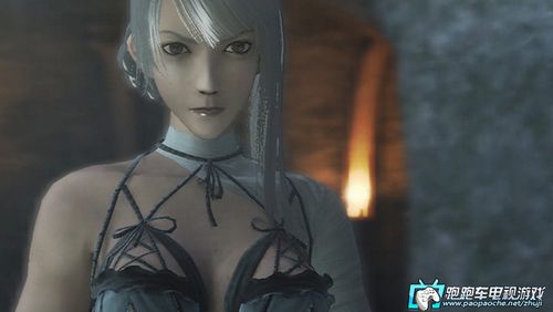 ps3尼尔伪装者