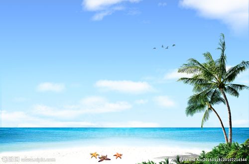 夏天背景图片