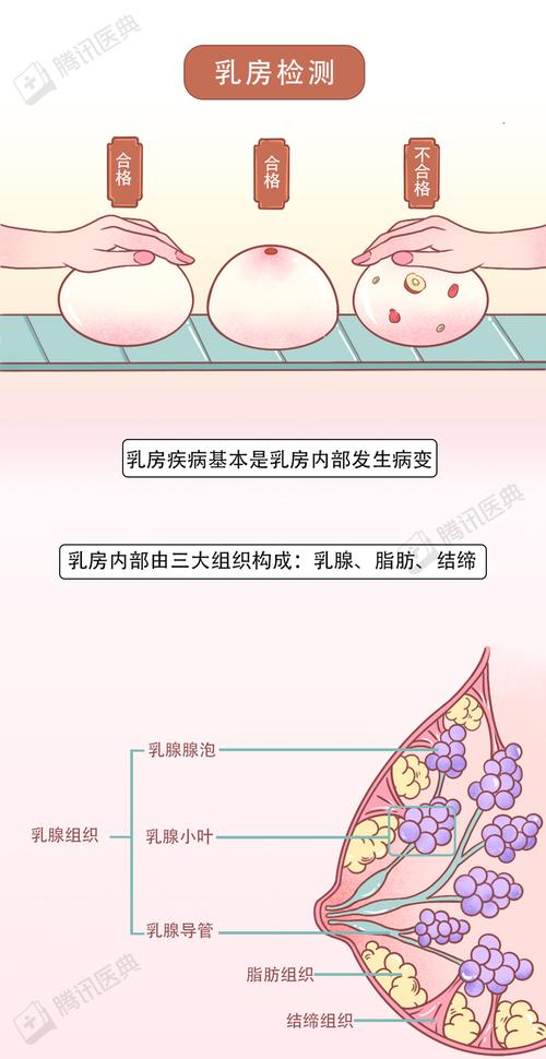 乳房保养的 5 个秘密, 你以前可能搞错了