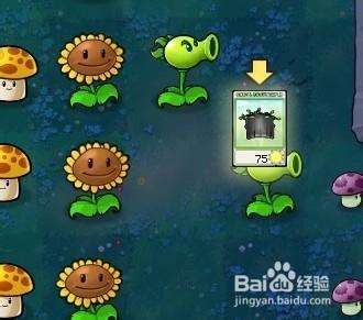 植物大战僵尸快速通关游戏攻略16232