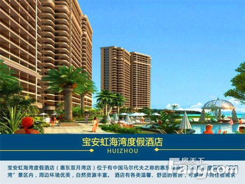 宝安虹海湾,一线外海景观,,月租抵月供,带返祖