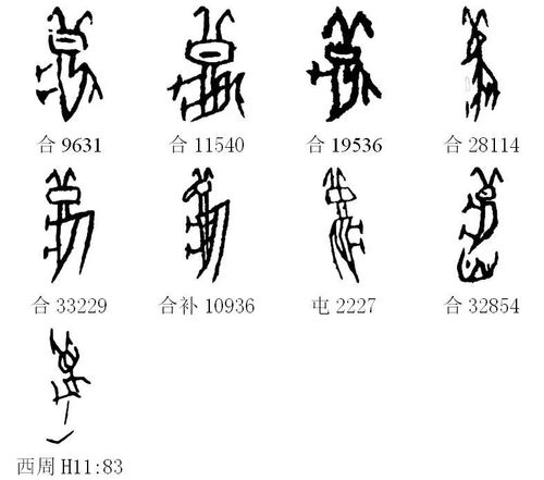 甲骨文每周识字(24)|立,秋