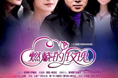 燃烧的玫瑰分集剧情(25全集)大结局_电视猫