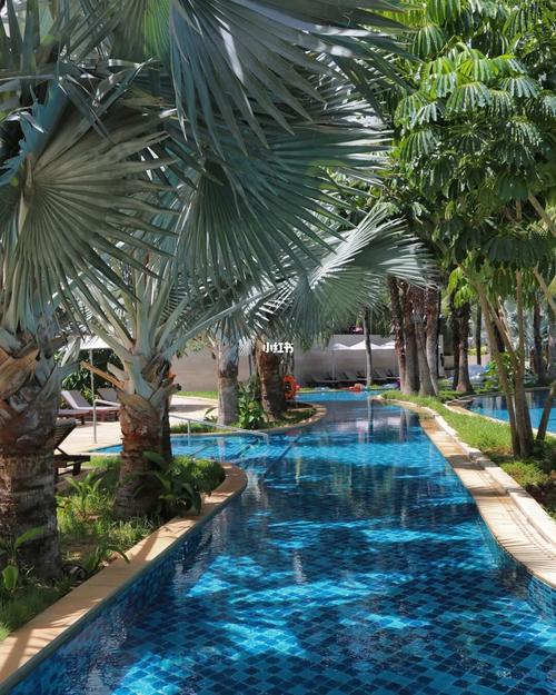 海南旅行|红树林,海棠湾的c位酒店_海棠湾_酒店_旅行