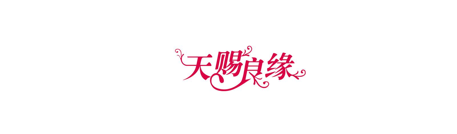 03百弘天赐良缘文化传媒有限公司